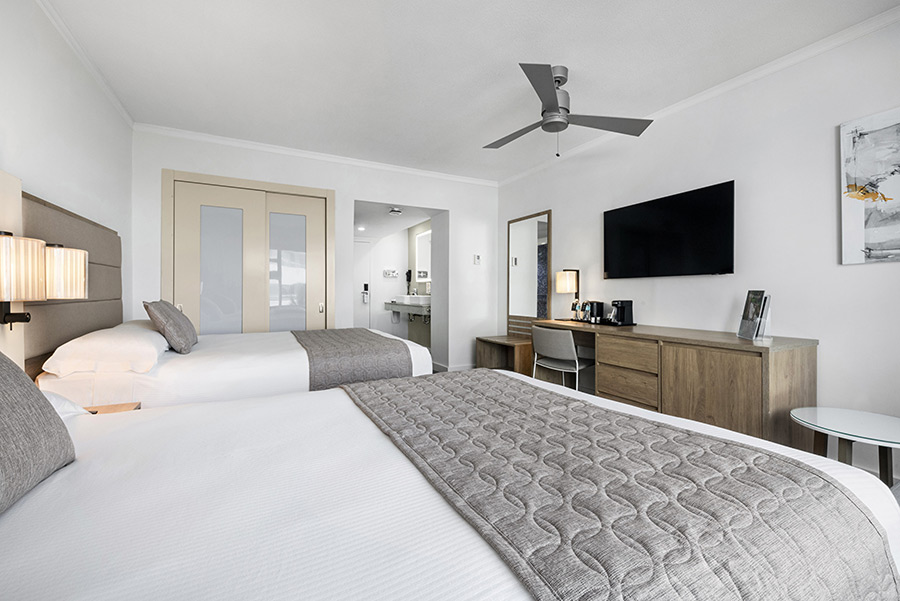 Deluxe Two Beds City View